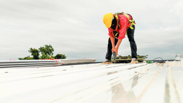 Best Sheet Metal Roofing  in Spanish Fork, UT
